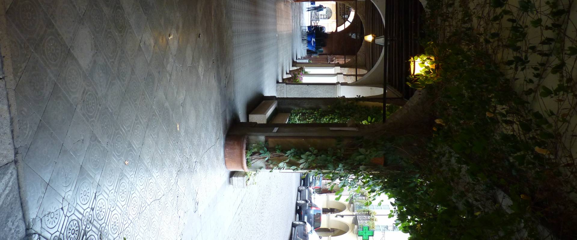 Dettaglio dei portici con rampicante su Via Roma - Busseto foto di IL MORUZ